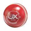 Cricket balls Test 4 pc 156g