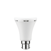 9W A60 Rechargable Led Light Bulb B22/E27