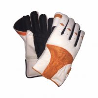 Gloves Wicket Keeper Indoor