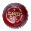Blaster Silver 156g