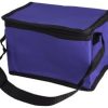 Oxford 6-Can Cooler