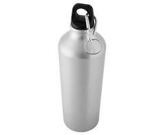 P2430-Silver-bP2430S_1st