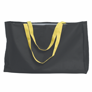 Directors Chair Twin Carry Bag